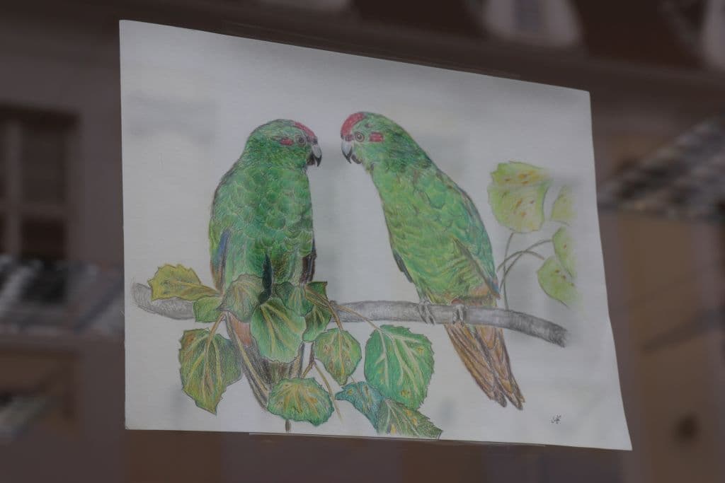 sanitaetshaus-koeppchen-wuppersteine-schaufenster-kunst (12)
