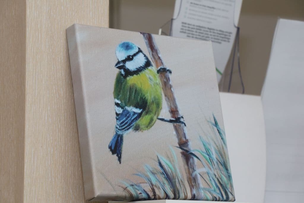 sanitaetshaus-koeppchen-wuppersteine-schaufenster-kunst (14)