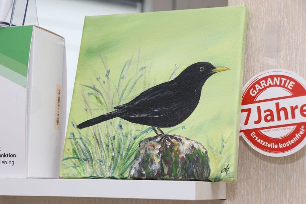 sanitaetshaus-koeppchen-wuppersteine-schaufenster-kunst (15)