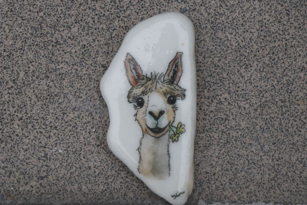 sanitaetshaus-koeppchen-wuppersteine-schaufenster-kunst (8)