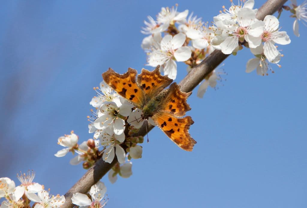 (Archivfoto: © Sarah Schmitz)