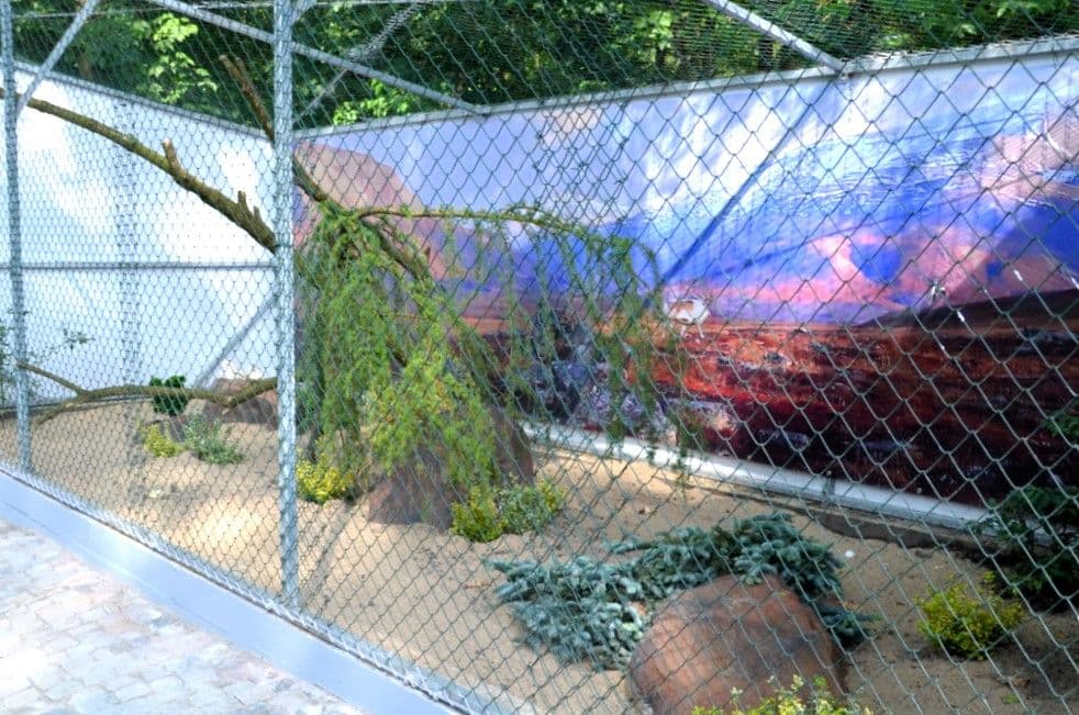 Schnee-Eulen-Anlage im Vogelpark - 5
