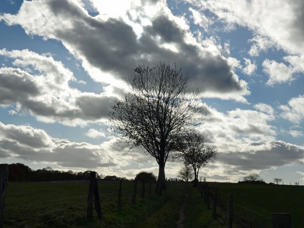 Magisches Treiben am Himmel sorgt für eine ganz besondere Atmosphäre. (Foto © Sandra Grünwald)