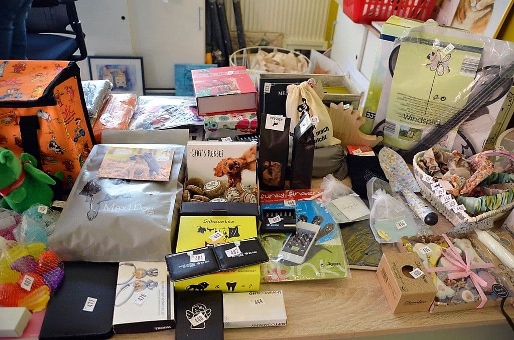 sommerfest-tierheim-solingen-2023 - 10