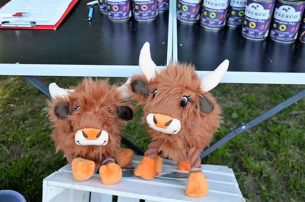 sommerfest-tierheim-solingen-2023 - 11