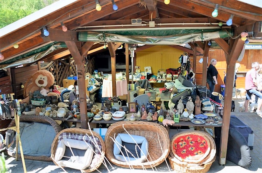 sommerfest-tierheim-solingen-2023 - 5