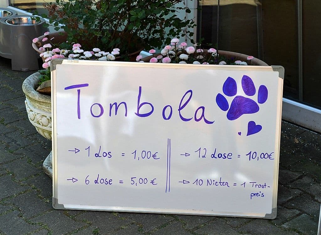 sommerfest-tierheim-solingen-2023 - 6