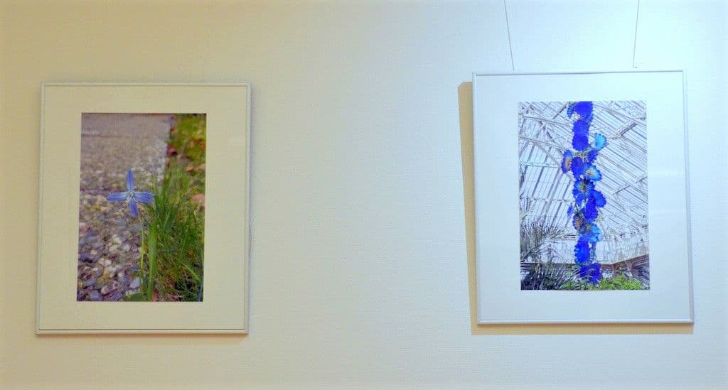 Stadtbibliothek - Mitarbeiter zeigen ihre Lieblingsfotos - 10