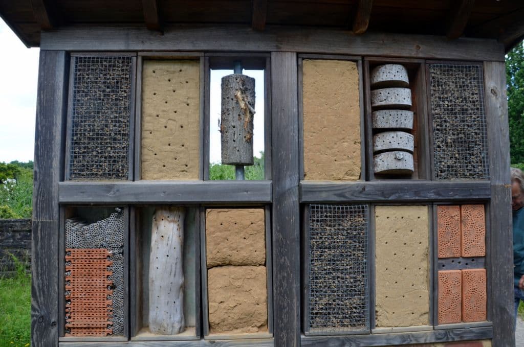 StadtNatur - 6