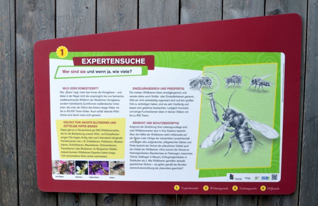 StadtNatur - 7