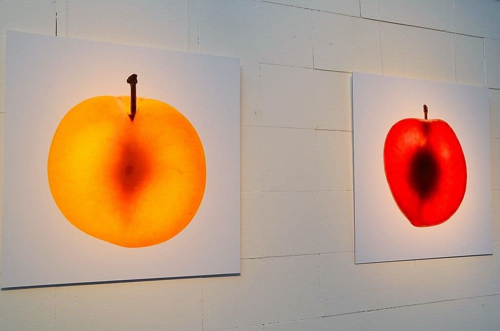 Tapperath + Spotka - 12