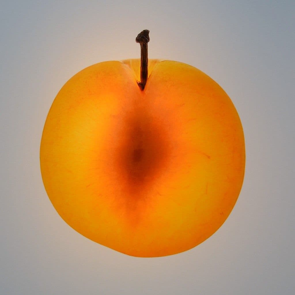 Tapperath + Spotka - 13