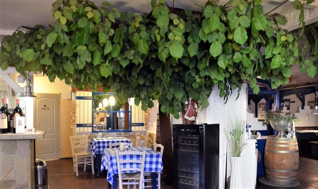 Taverne Mykonos - 16