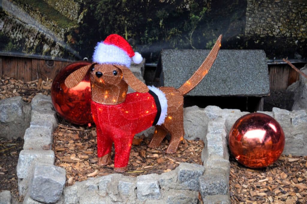 Vogelpark-Adventsmarkt - 13