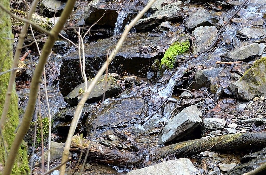 Wald-Mythenhort - 8