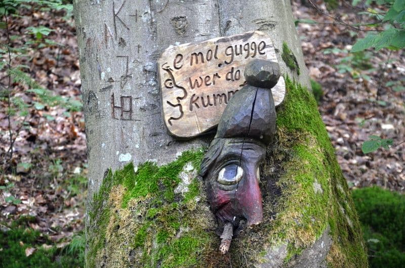 Waldgeisterweg-Oberotterbach-Pfalz - 16