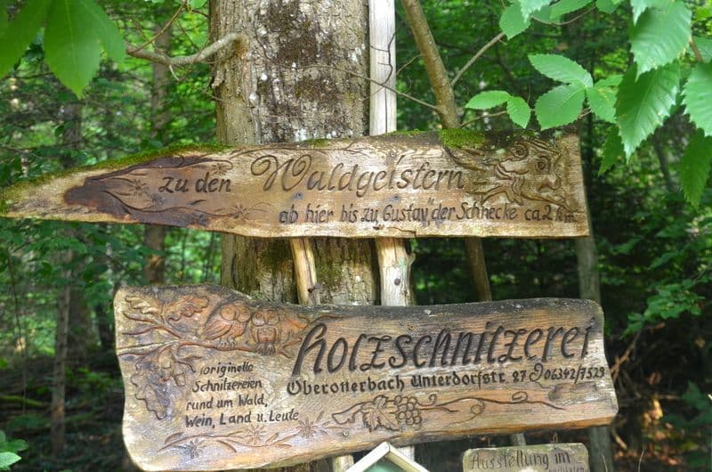 Waldgeisterweg-Oberotterbach-Pfalz - 36