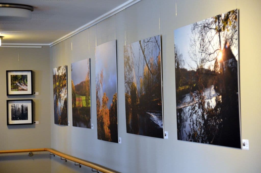 Wanderausstellung Wald - 11