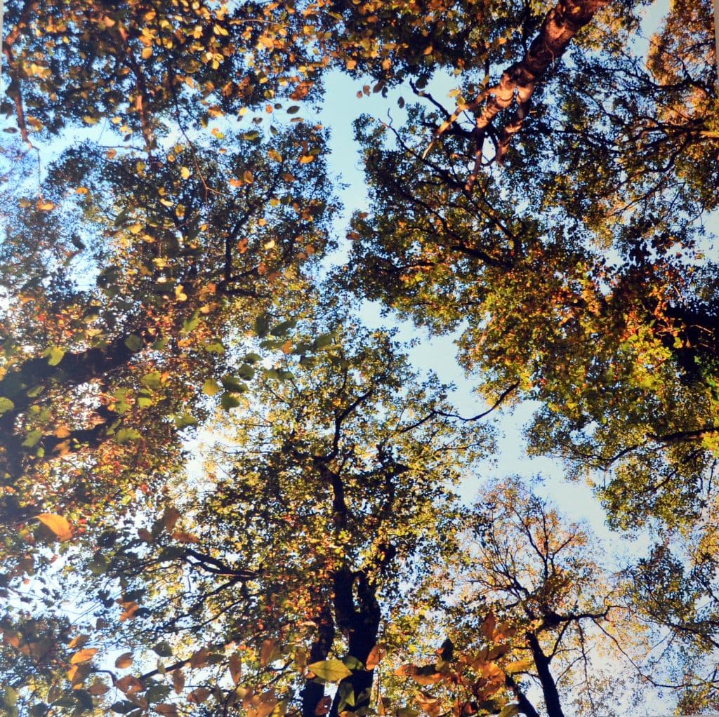Wanderausstellung Wald - 12