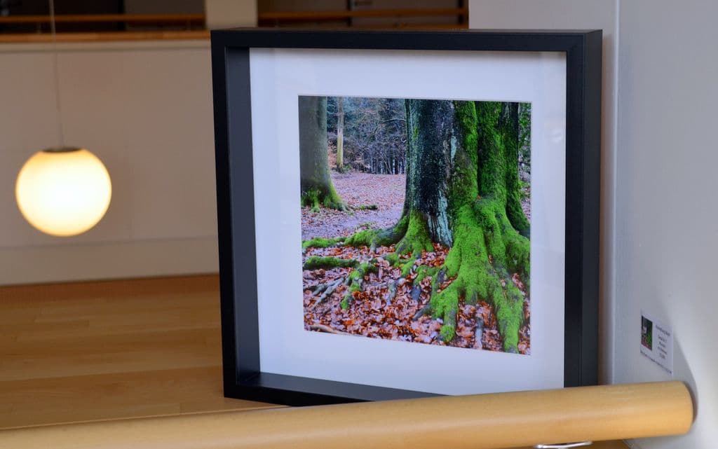 Wanderausstellung Wald - 13