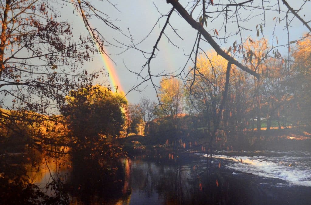 Wanderausstellung Wald - 7