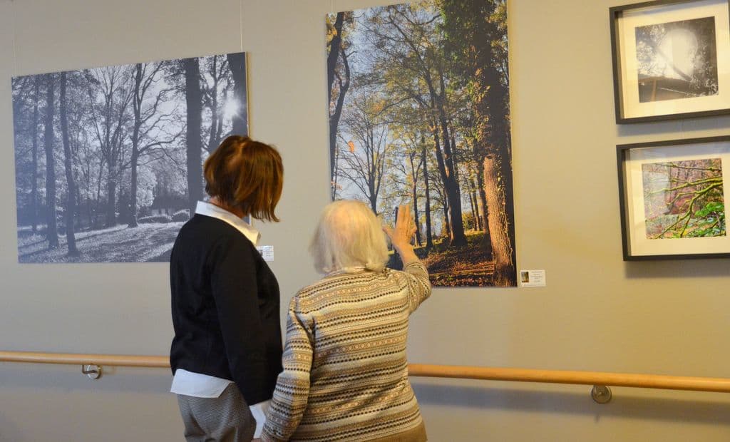 Wanderausstellung Wald - 8