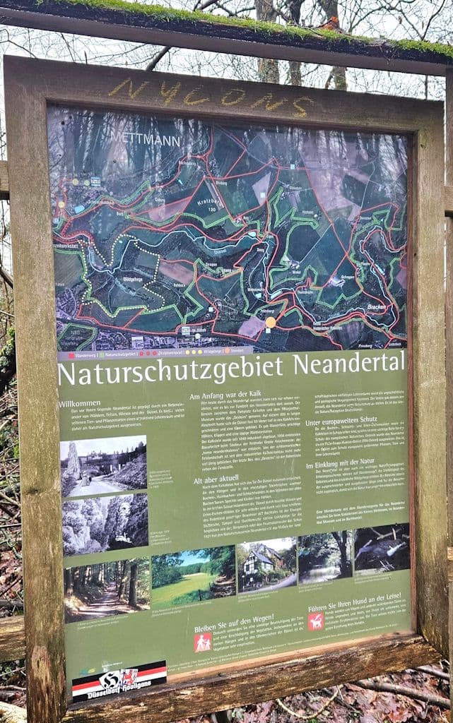 wanderung-neanderthal-duessel (1)