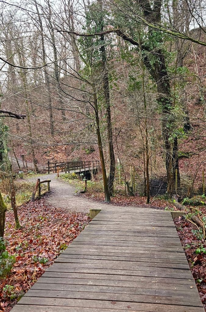 wanderung-neanderthal-duessel (13)