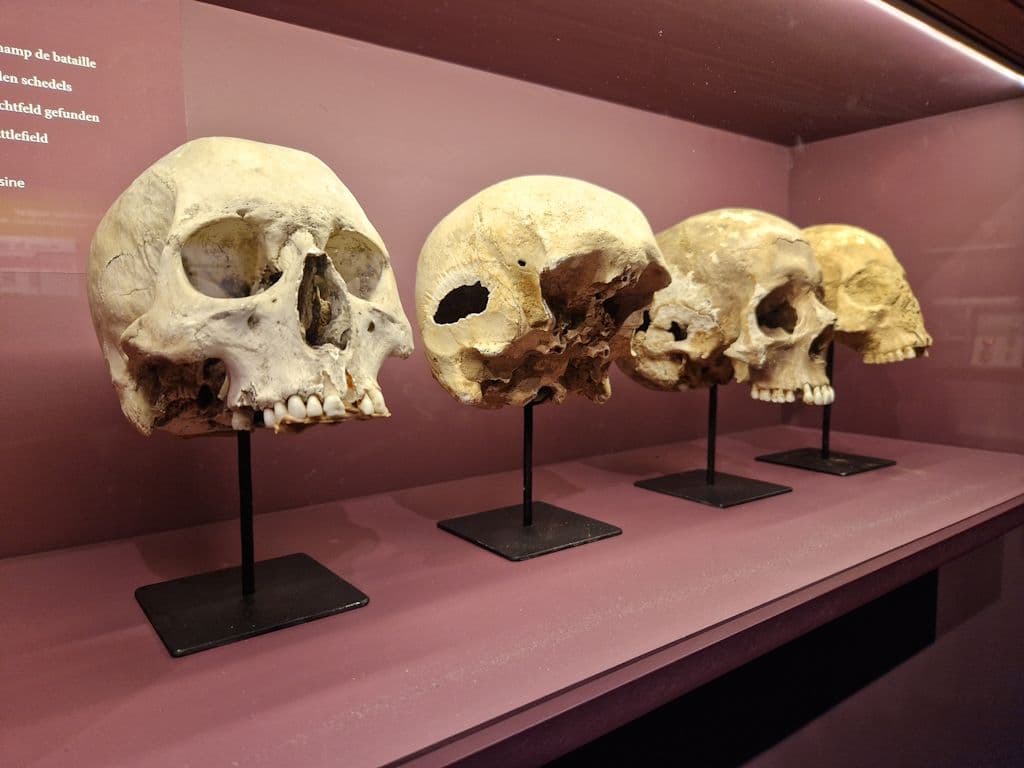 waterloo-belgien-napoleon-museum (7)