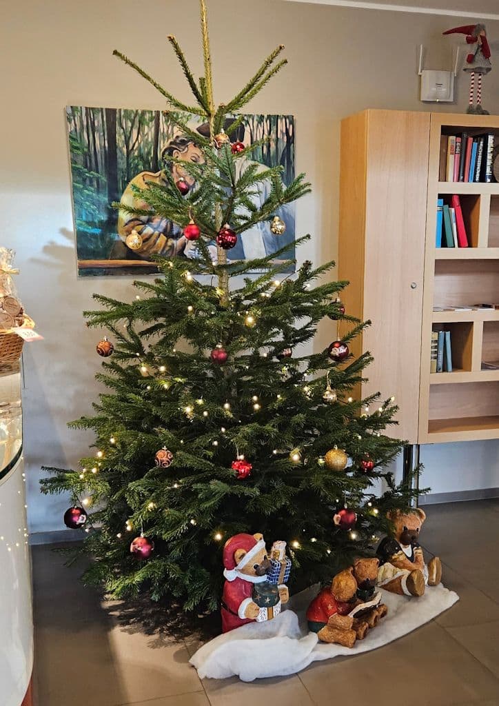 weihnachten-aktion-wuppertseine (4)