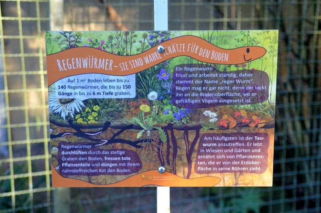 Welle-Solidarität-Vogelpark - 5