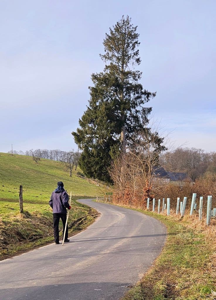 wermelskirchen-wanderung-spaziergang-natur (7)