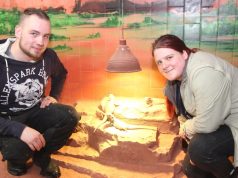 Claudia Höfer aus Mönchengladbach und Jonas Löckmann aus Wuppertal haben im August in der Fauna eine Ausbildung zum Zootierpfleger begonnen. (Foto: B. Glumm)