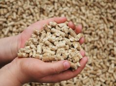 Holzpellets und Holzhackschnitzel werden in immer mehr hochmodernen Heizungsanlagen als Brennstoff verwendet. Das schont die Natur und den Geldbeutel. (Foto: © Deutsches Pelletinstitut)