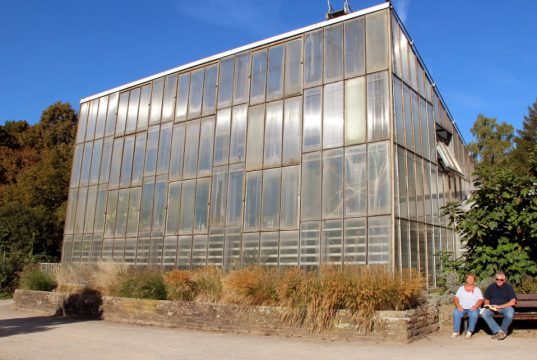Anfang Dezember kommt ein beheizter und beleuchteter Toiletten-Container in den Botanischen Garten. Dann verschwinden auch die drei Dixie-Klos. (Archivfoto: © Bastian Glumm)