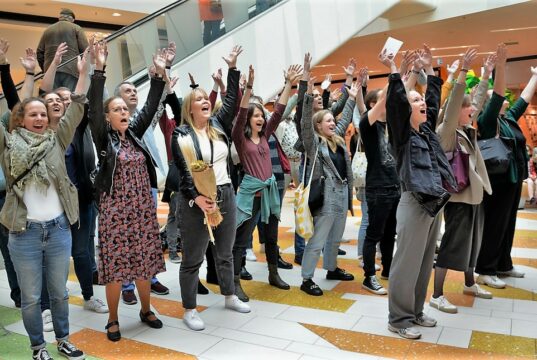 Rund 30 Mitglieder des Creative Arts Group e. V. sorgten am Samstag im Hofgarten mit ihrem Flashmob für großes Aufsehen. Im Juni tritt der Verein mit dem Musical 9 TO 5 im Theater auf. (Foto: © Martina Hörle)