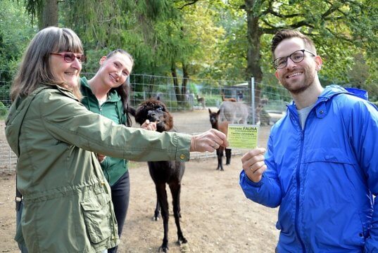 Vera Schramm (li.), Josefine Busekroos und Nicholas Dewenter freuen sich, dass das bezaubernde Alpaka-Mädchen jetzt seinen Namen bekommen hat. Die stolze Mutter Arielle ist natürlich dabei. (Foto: © Martina Hörle)
