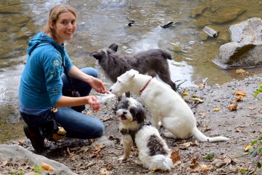 Die studierte Biologin Bettina Siller (39) hat sich mit ihrem Waldkindergarten einen Traum erfüllt. Täglich dreht sie ihre Runden mit kleinen Hundegruppen. Hier ist sie mit der schwarzen Jarla, der Terriermix-Dame Lafite und dem Energiepaket Kalle unterwegs. (Foto: © Martina Hörle)