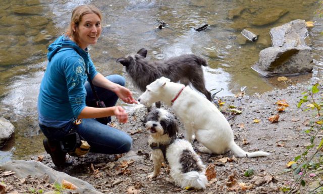 Die studierte Biologin Bettina Siller (39) hat sich mit ihrem Waldkindergarten einen Traum erfüllt. Täglich dreht sie ihre Runden mit kleinen Hundegruppen. Hier ist sie mit der schwarzen Jarla, der Terriermix-Dame Lafite und dem Energiepaket Kalle unterwegs. (Foto: © Martina Hörle)