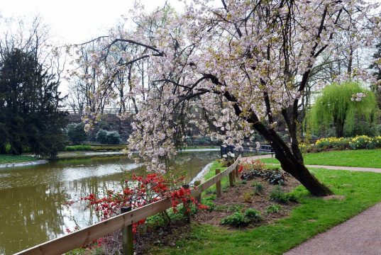 Am Teich gruppieren sich weiße Blüten an Bäumen mit roten Blumen am Boden. Auf dem Teich spiegeln sich interessante Lichtreflexe. (Foto: © Martina Hörle)