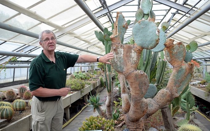 Erster Kakteen-Workshop im Botanischen Garten