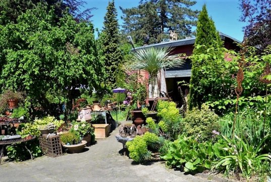 Garten Ulbrich beteiligt sich seit zwölf Jahren bei der Offenen Gartenpforte. Die Anlage weist mittlerweile über 1.500 Arten an Gehölzen und Pflanzen auf. (Foto: © Martina Hörle)