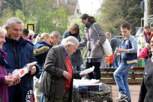 Auch in diesem Jahr waren unzählige Besucher am Gleisdreieck und stöberten eifrig in den vielen Büchern. Das traditionelle Bookcrossing fand hier bereits zum 11. Mal statt. (Foto: © Martina Hörle)