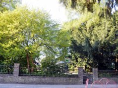 Der Eingang zum Park ist an verschiedenen Stellen möglich. Hier an der Dültgenstaler Straße liegt er etwas versteckt. (Foto: © Martina Hörle)