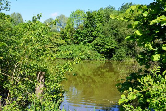 Aus dem Gelände der früheren Mülldeponie ist mittlerweile ein wunderbares Naherholungsgebiet geworden. Ausgebaute Wege, zahlreiche Sportanlagen und Picknickplätze bieten den Besuchern viele Möglichkeiten zur Freizeitgestaltung. (Foto: © Martina Hörle)