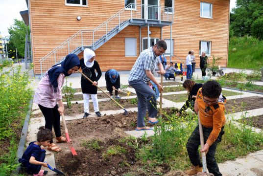 Die großen und kleinen Bewohner der Flüchtlingsunterkunft arbeiten gerne zusammen in dem neuen Garten. Die Arbeit bringt willkommene Abwechslung zum Behördenalltag und fördert den Gemeinschaftssinn. (Foto: © Martina Hörle)