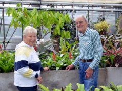 Dr. Hans-Werner Hammen und seine Frau Margarete führen die Besucher durch das Bromelienhaus. Dabei erzählen sie viel Wissenswertes und geben Tipps zu Pflege und Haltung. (Foto: © Martina Hörle)