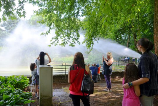 Die Leistungsschau der Löscheinheit 7 der Freiwilligen Feuerwehr fand großen Anklang. Zahlreiche Zuschauer versammelten sich am Teich. Kräftige Wasserstrahlen schossen aus Druckschläuchen oder Wasserwerfern quer über den Teich. (Foto: © Martina Hörle)