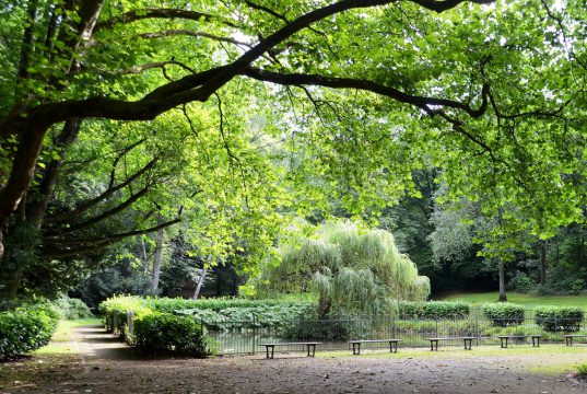 Die Gräfrather Grünanlage bietet Möglichkeiten für kurze Spaziergänge, aber auch für längere Wanderungen. Gut erreichbar liegt sie direkt dem Klingenmuseum gegenüber. (Foto: © Martina Hörle)