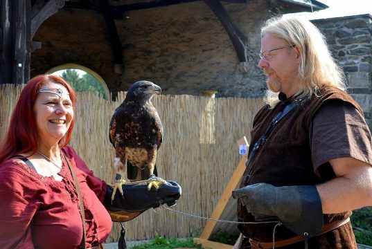 Die Greifvögel der Skyhunters Barbara und Ari Scholz sind ein absolutes Highlight. Immer wieder posieren sie auf den Armen der Besucher und lassen sich fotografieren. Hier hat sich gerade der Aguja-Adler Artemis auf dem Arm einer Dame niedergelassen. (Foto: © Martina Hörle)